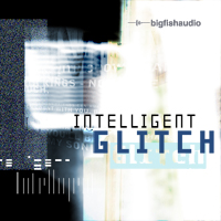 Intelligent Glitch: Glitch style IDM grooves that push the boundaries of this musical genre